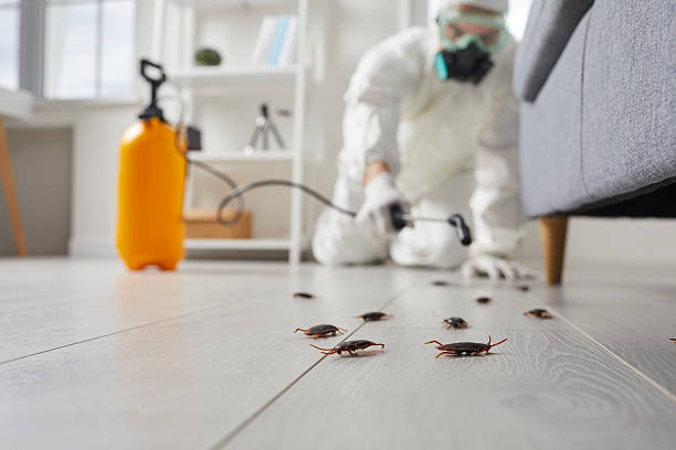 Trusted Cockroach Control service in Hazel Green, AL - Nex Pest Control
